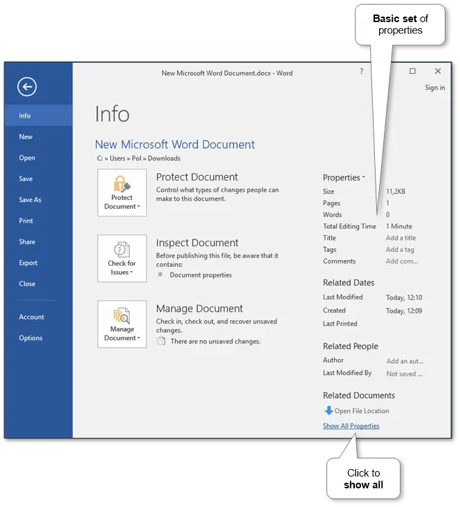 “Microsoft Word document properties and WordPress SEO publishing workflow”