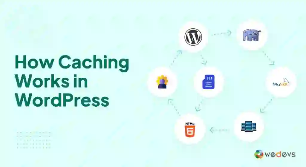“WordPress cache plugins improving website speed and Google PageSpeed scores”