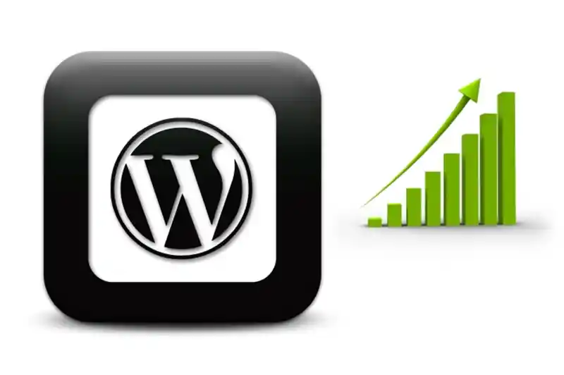 “WordPress cache plugins improving website speed and Google PageSpeed scores”