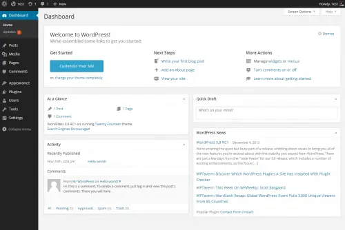 “Beginner setting up a WordPress blog and creating online content”