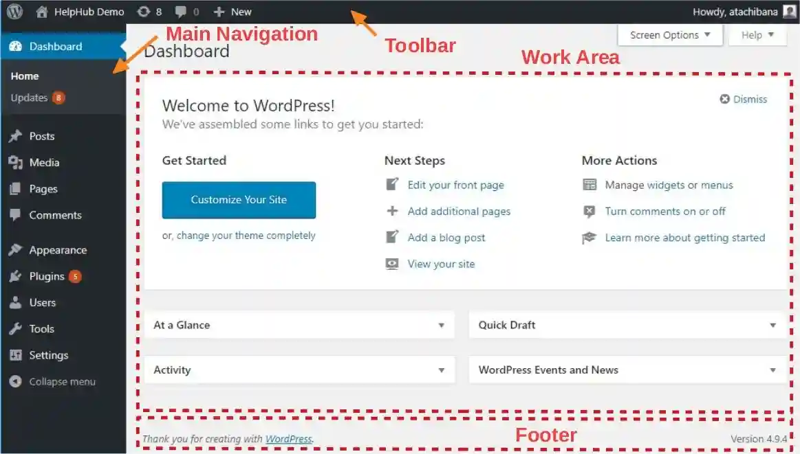 “Beginner setting up a WordPress blog and creating online content”