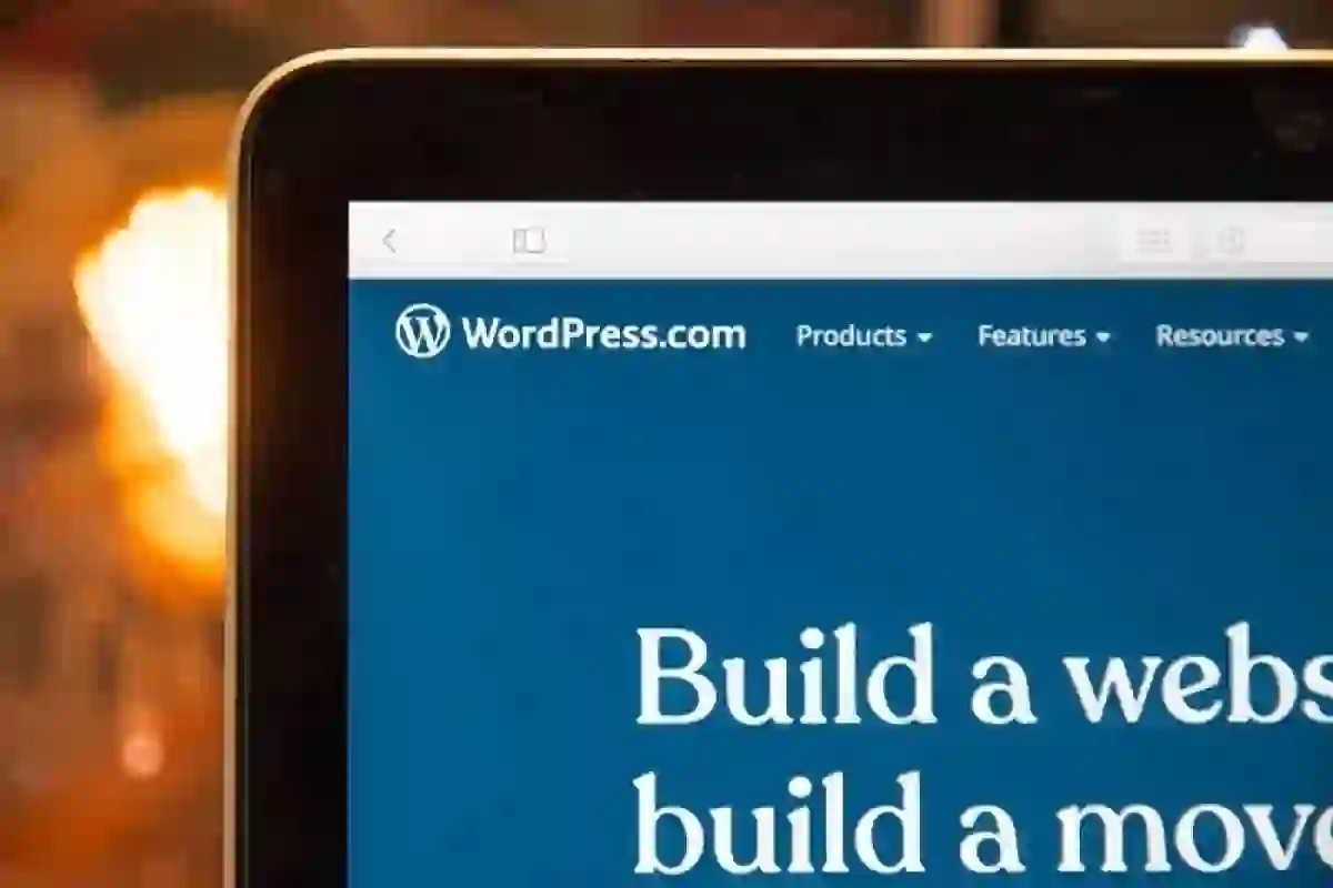 “Beginner setting up a WordPress blog and creating online content”