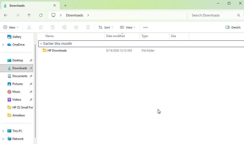 Windows 11 Downloads folder showing large files sorted by size